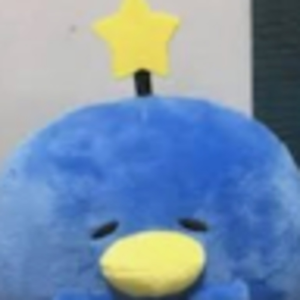 Meet your Posher, Gemmuh